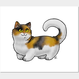 Cat - Munchkin Cat - Calico Shorthair Posters and Art